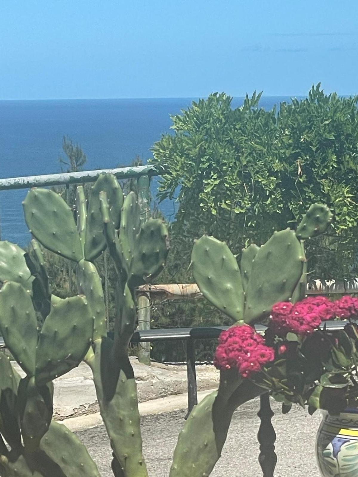 Casa Sundaville Peschici Eksteriør billede
